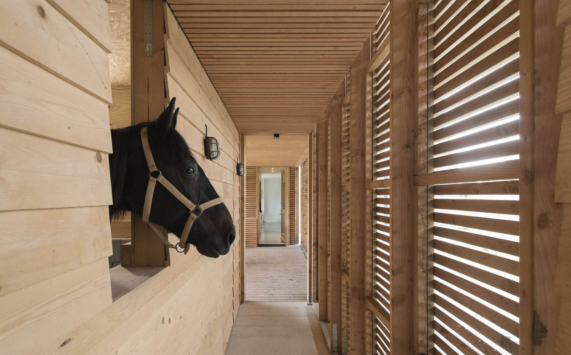 Mootz / Pelé Architectes - Maison JZ à ossature bois, Saint-Agathon (22)